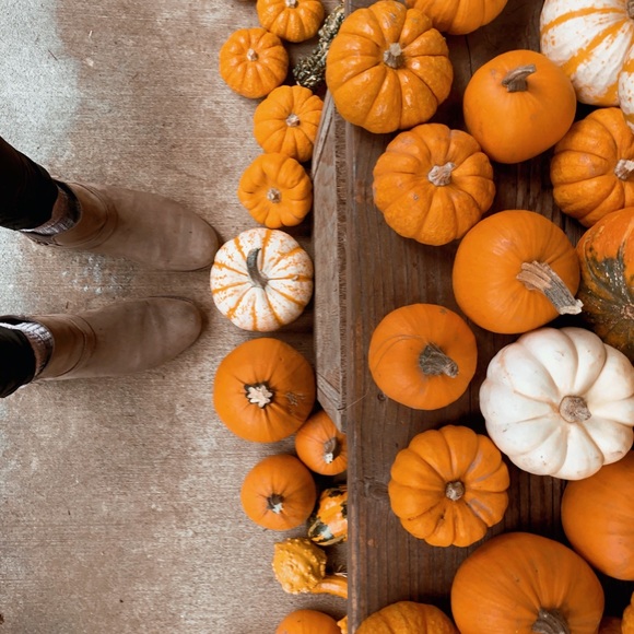 Meet your Posher, Claire - Picture 2 of 3